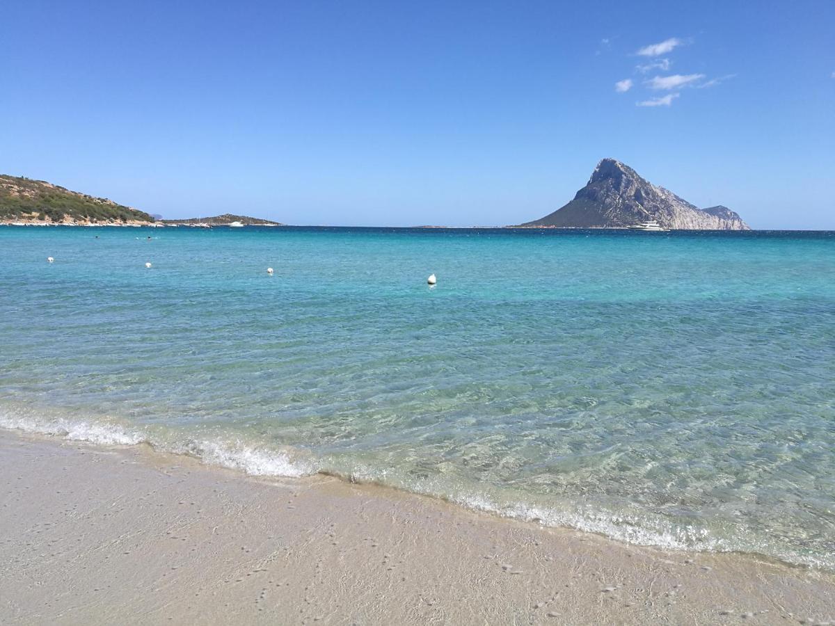 Splendida Villetta Tavolara 2 Vaccileddi Εξωτερικό φωτογραφία